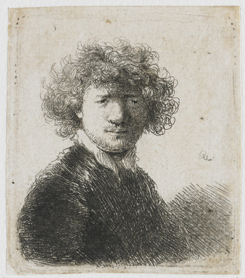 artist-rembrandt:Bust of an old man with a flowing beard, the...