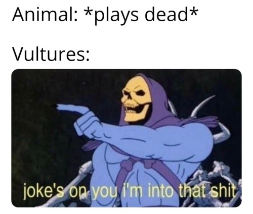 omghotmemes