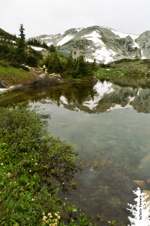 infiniteforests:Wyoming can be cool, too. 