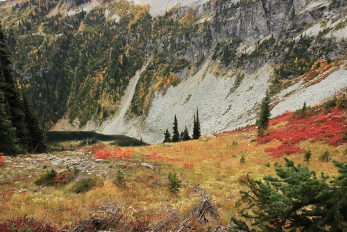 burningmine:Heather-Maple Pass, October 2018