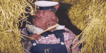 6e62a26fc6b37825654dfd994d7c1f3f69e92e24.gif