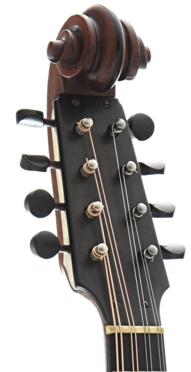 frettedchordophones:A top-of-the-line Lyon & Healy model...