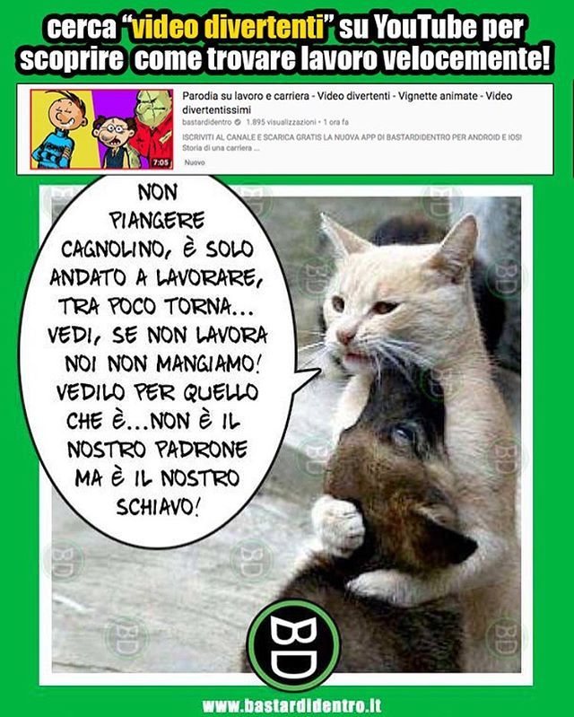 SCARICA VIDEO DA BASTARDIDENTRO
