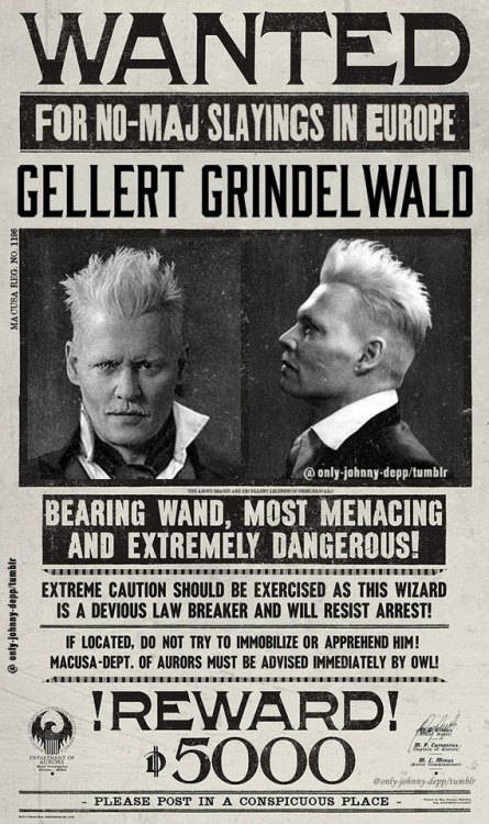 only-johnny-depp:BEWARE! HAVE YOU SEEN THIS WIZARD!?To...