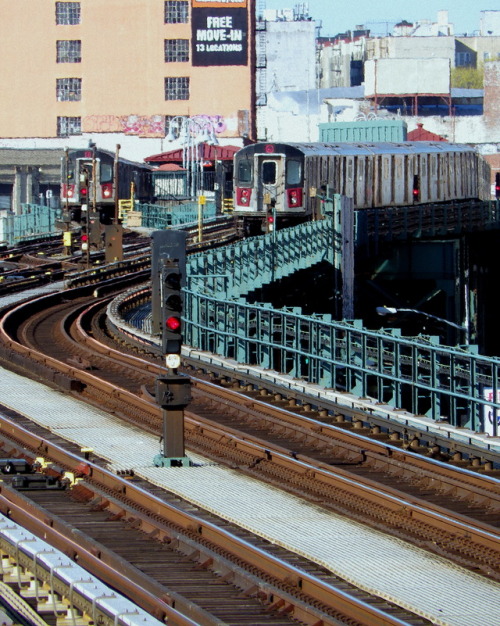 Wandering New York, No. 4 trains in the Burnside Avenue Station....