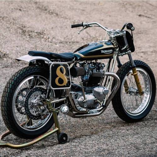 #triumph #flattracker...