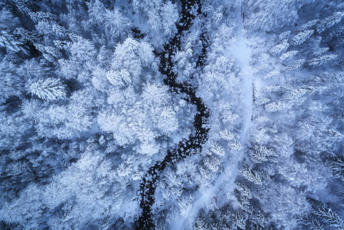 throughwinterfields:Daniel Fleischhacker