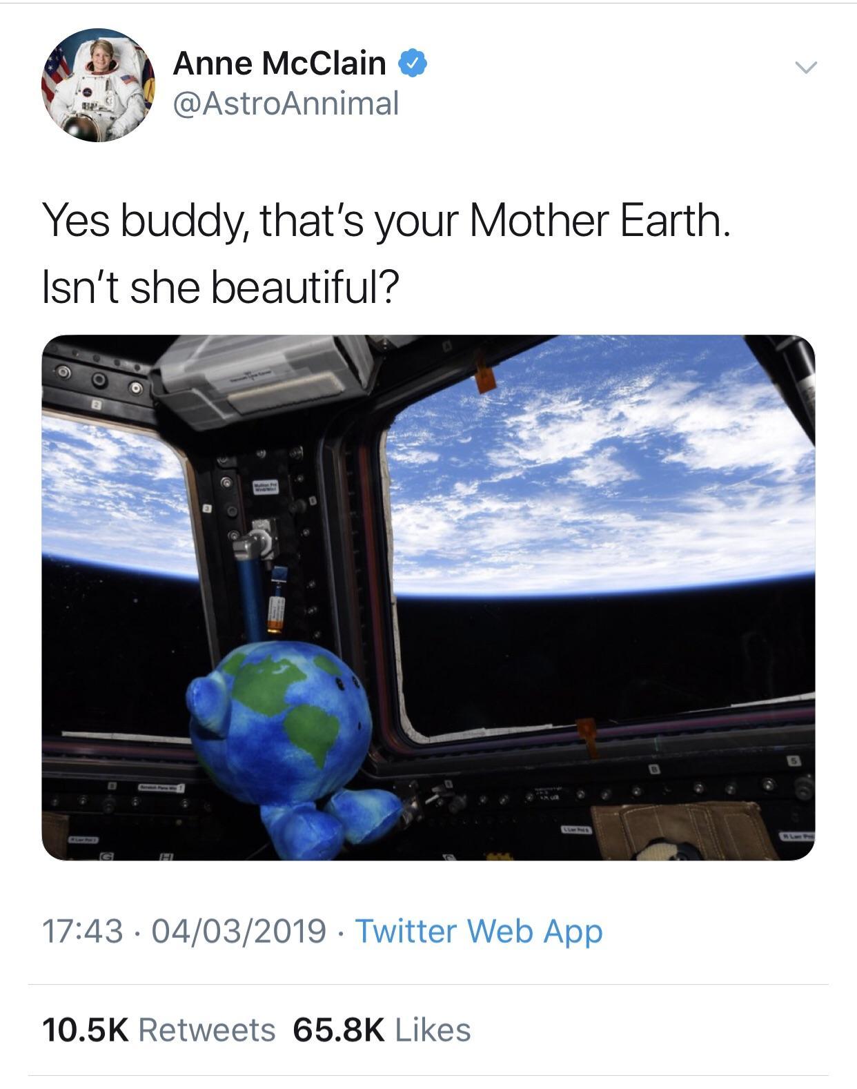 celestial buddy earth