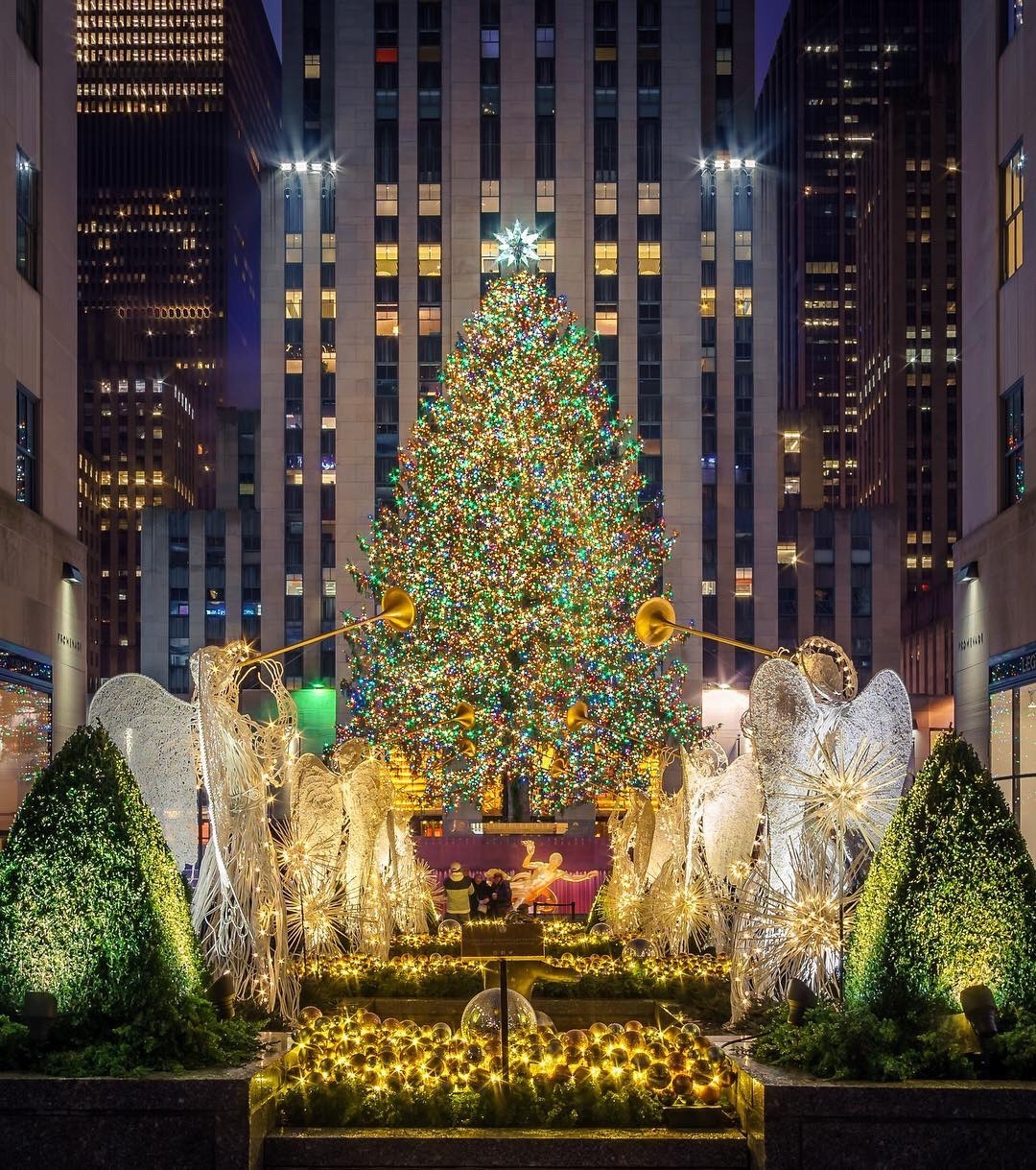 Rockefeller Center Christmas Tree 🎄 by @nathanmphotos