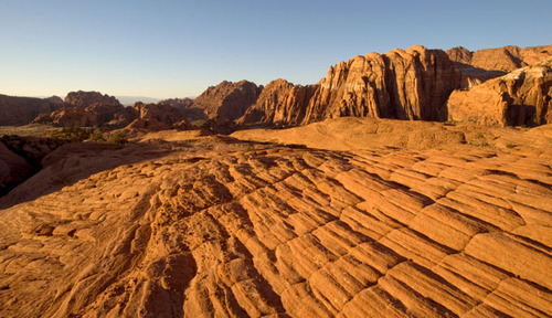 zion-national-park-semi-arid-desert-biome