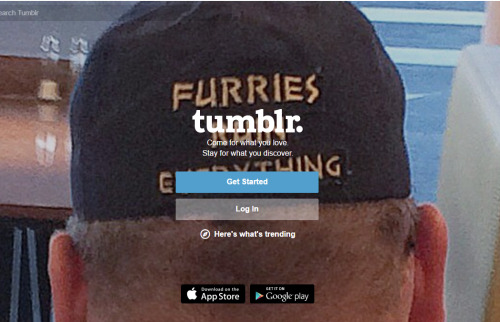 tumblr login page wont appear only registration