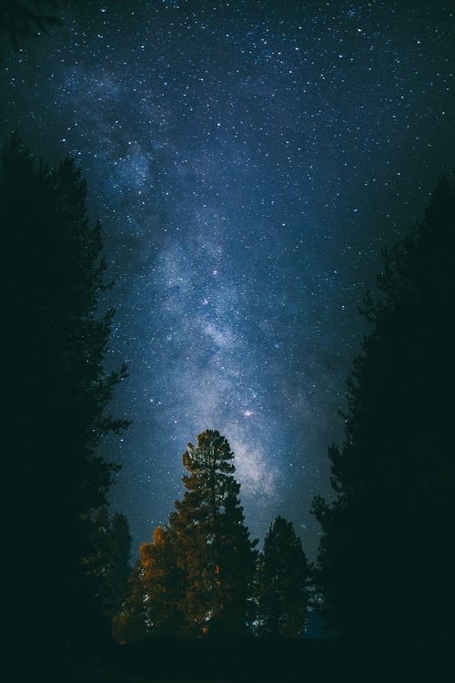 Colors of the Colorless — 0rient-express: Valley of Stars | by Josh...