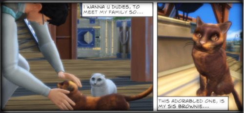 anakel13ts4stuff
