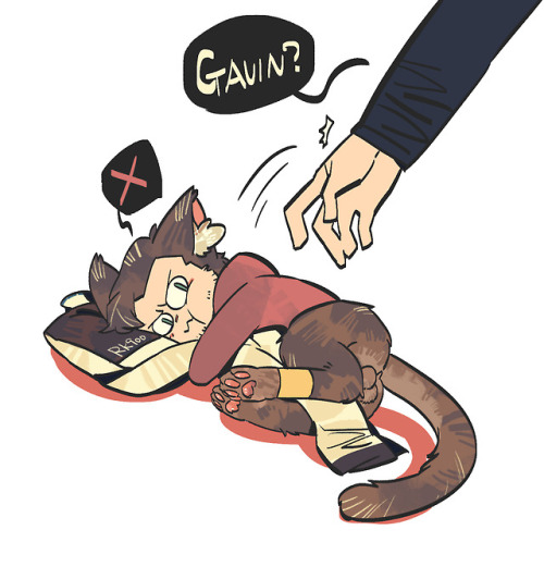 shiyeyeye:[猫与900G]about cat!gavin and nines~