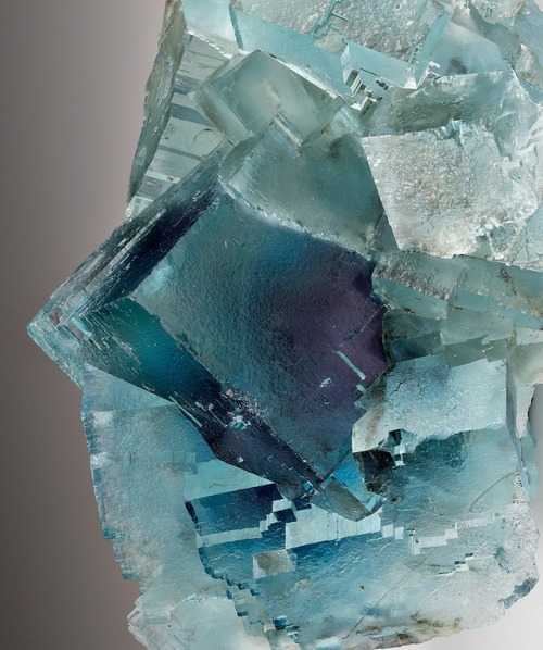 bijoux-et-mineraux:Fluorite - Minerva No. 1 Mine, Hardin Co.,...