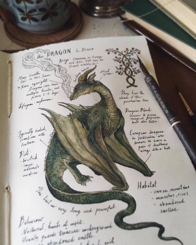 Resultado de imagem para dragon magic tumblr