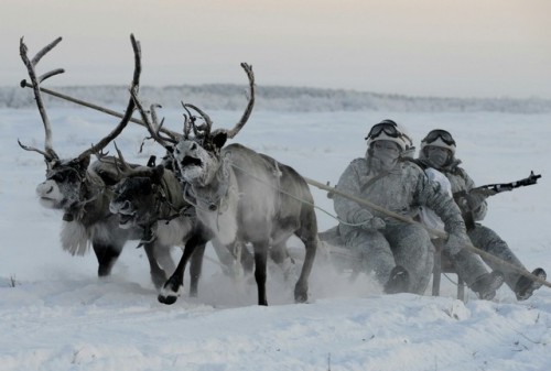 russia cavalry soldiers reindeer arctic