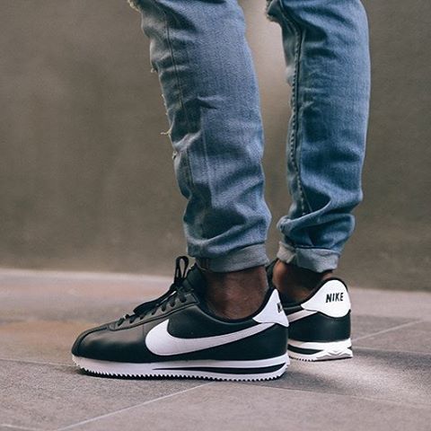 sportscene cortez