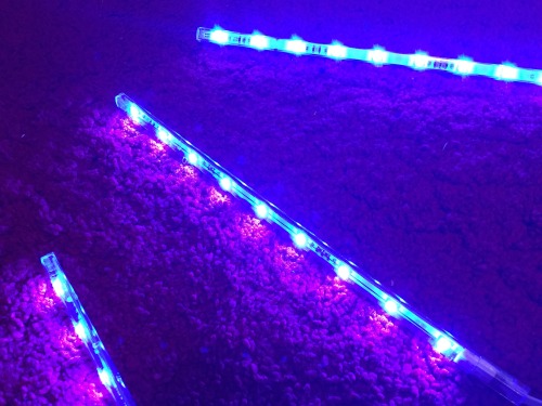 Led Strip Lights Tumblr