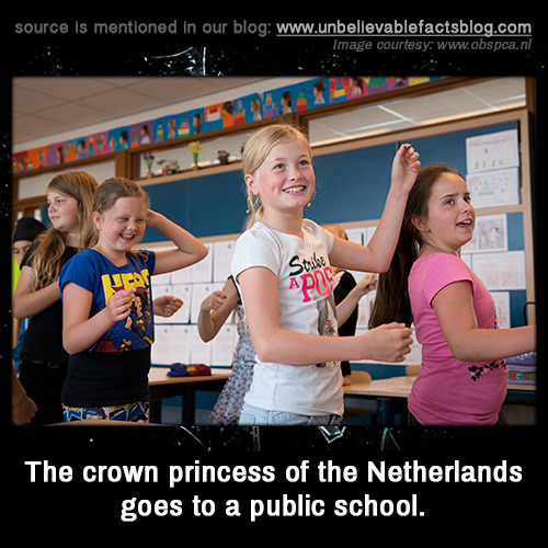 Image result for crown princess of netherlands goes to public school