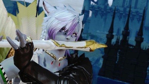 ffxivwarabeealmir:PVP new hair