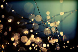 roobascooba:
“ Fairies in my garden. by *incredi on We Heart It.
”