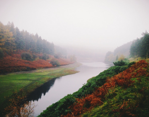 kateoplis:My everchanging Autumn, Daniel Casson