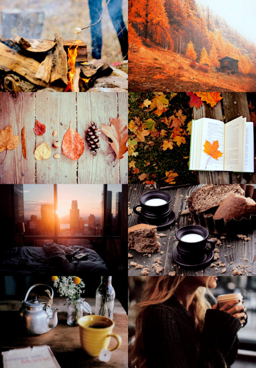 felicetysmoak:get cozy : autumn edition 