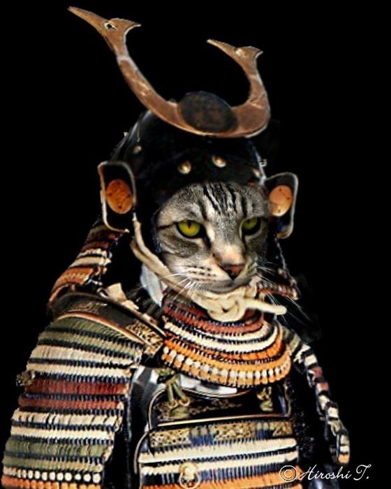 caterville  Samurai  Cats  by Hiroshi source 