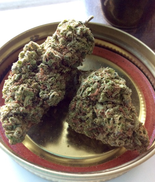 yourmellowfellow:Saved the pretty nugs for last~