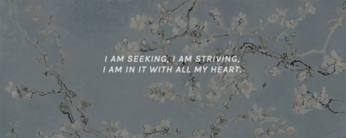 ravnclaws:     favourite quotes of vincent van gogh, part i.