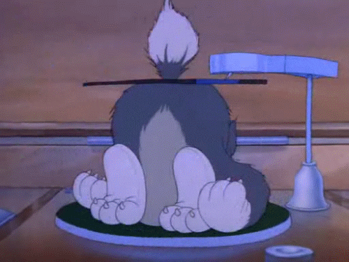 tom and jerry funny gif