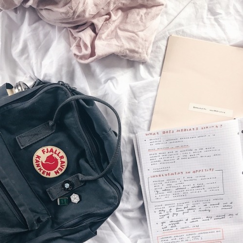 studylustre:recent notes + bujo spread, ft. pictures from my...