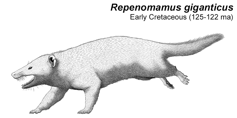 Mesozoic Monthly: Nemicolopterus