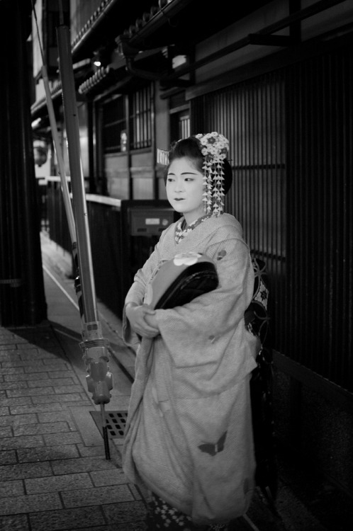 Maiko Katsue, Gion Kobu
Maiko in Kyoto (by es-mr.children-)