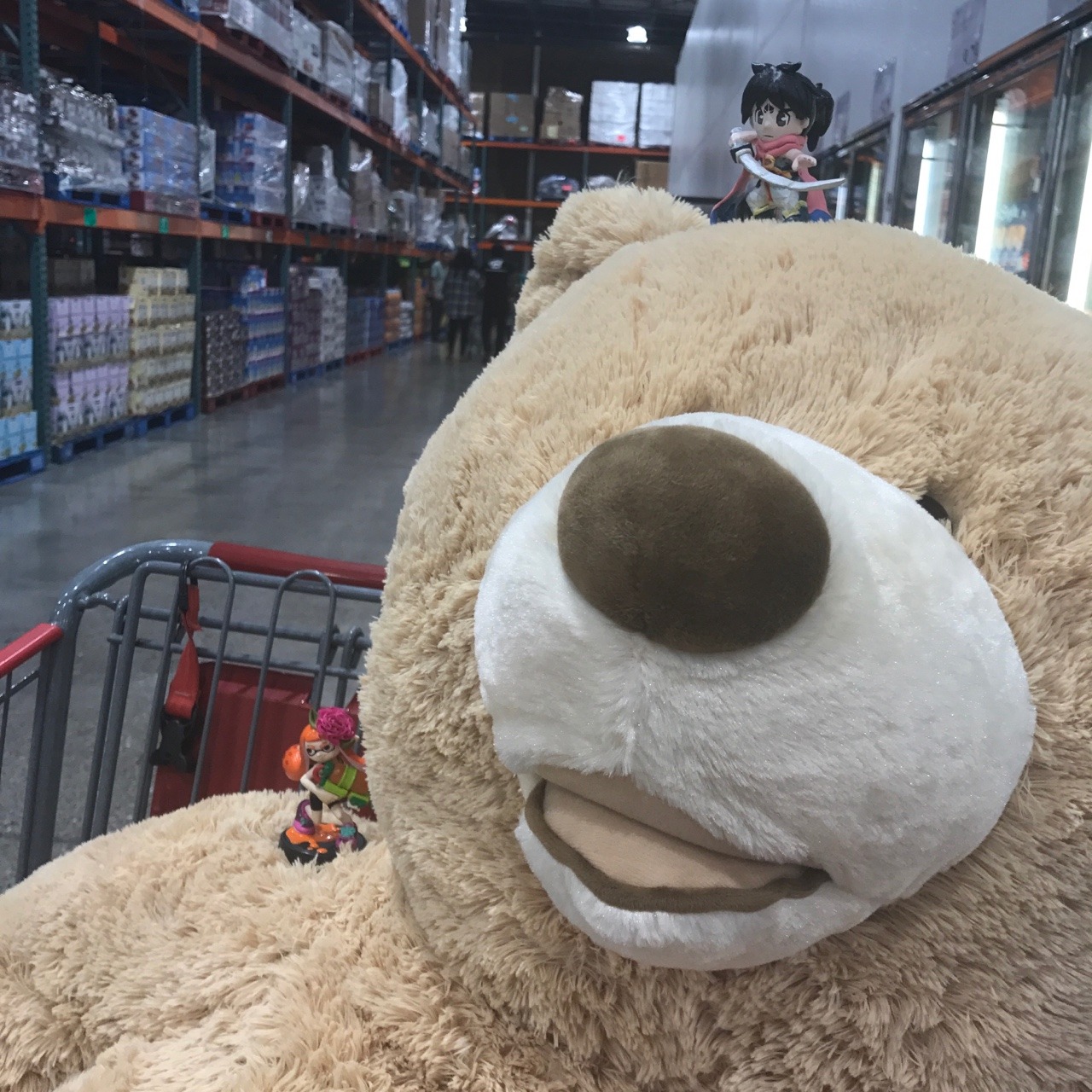 jumbo bear costco