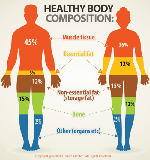 Healthy Body Composition Chart