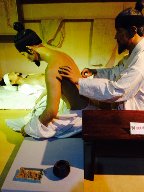 San Cheong Museum of Traditional Korean Medicine