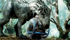 tumblr_nt44maJWeh1rsl8xto9_r1_250.gif