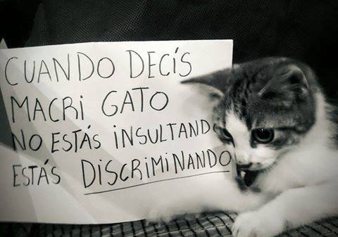 emergente emergente