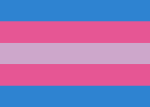 pridesthetic:Bi-Colored Trans Flags and Trans-Colored Bi Flags...