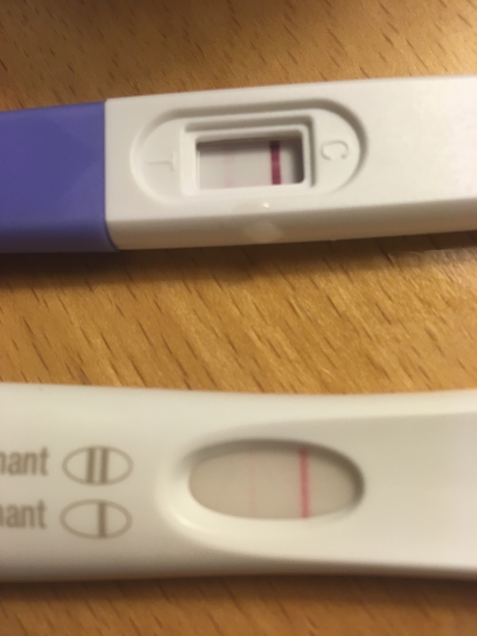 What Will An Ovulation Test Say If Pregnant pregnancy test