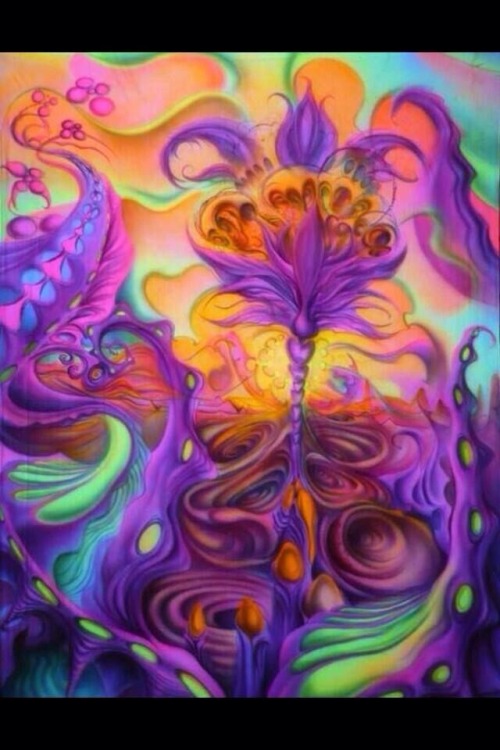 psychedelic-journeys:I’m a psychedelic advocate