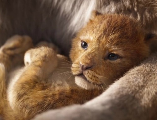 LOOK AT THEM HOW PRECIOUS BABIES Simba The Lion King Dumbo