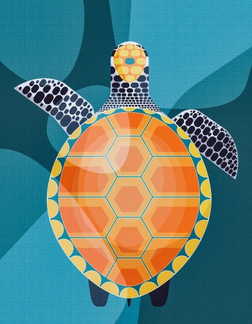 lifeasillustrated:Turtle