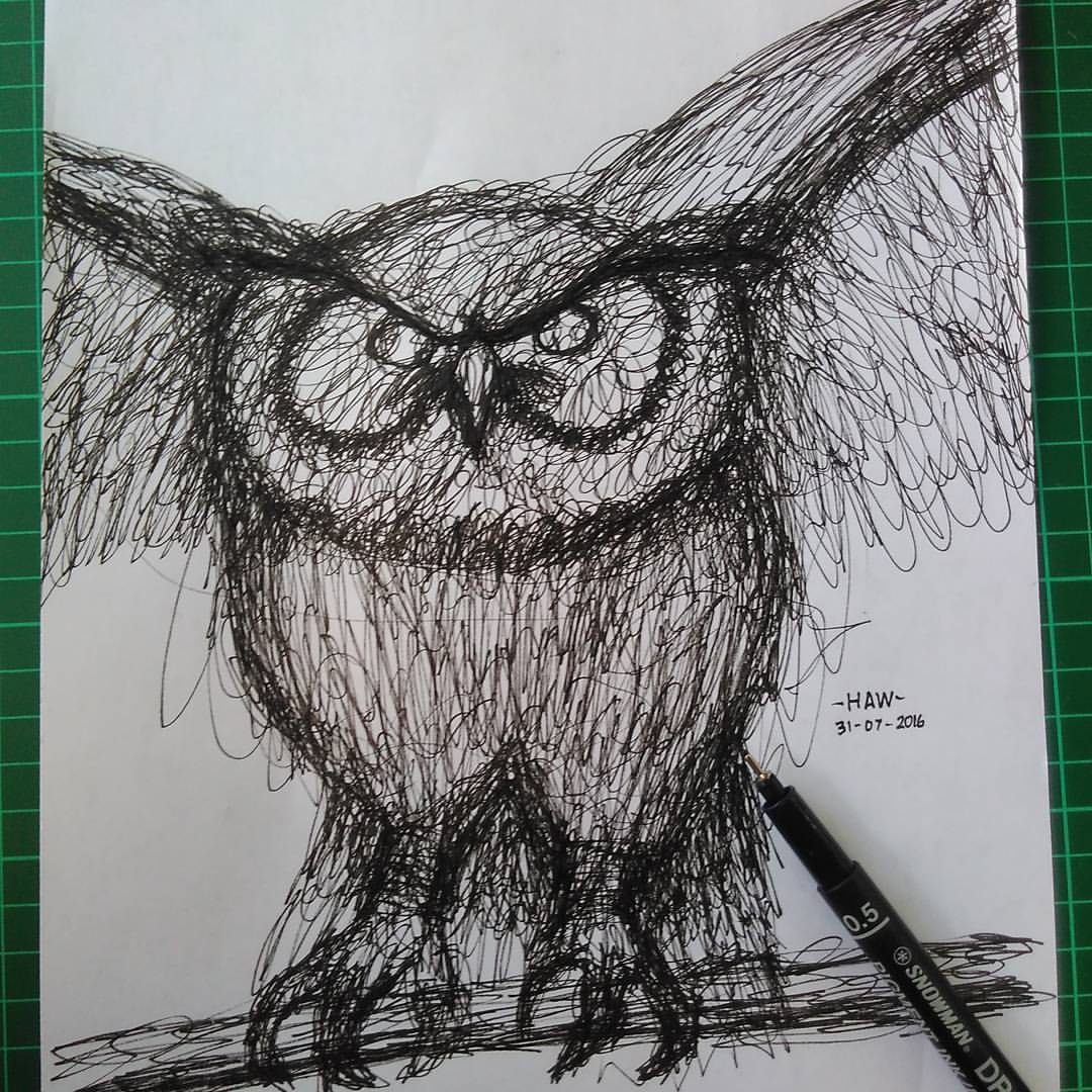 HAW Owl Art Doodle Owl Drawingpen Painting