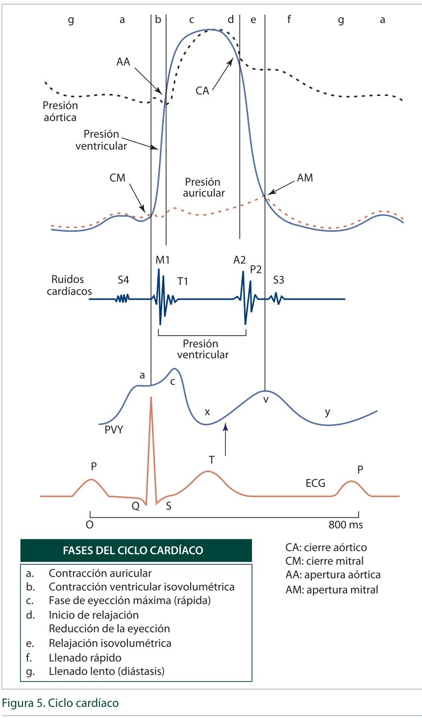 Presión aórtica de apertura