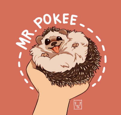 skyblitzhart:fan art of Mr.Pokee on Instagram!