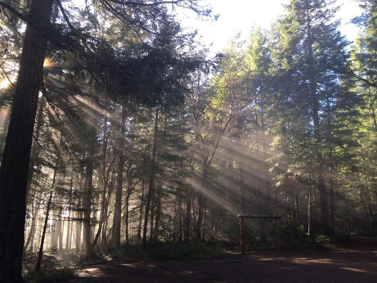 Trailhead SW Oregon