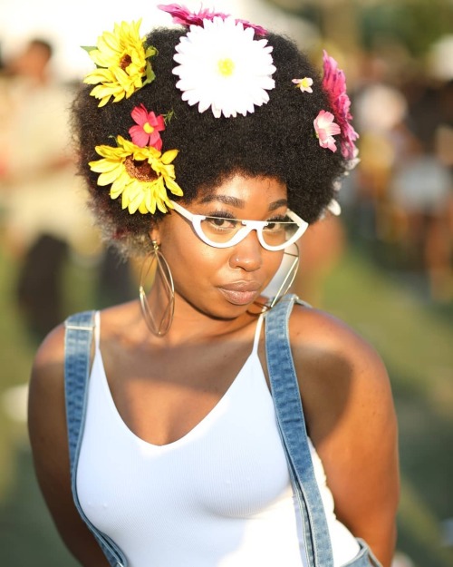 essencewigs
